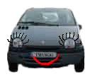 twingo by miely
